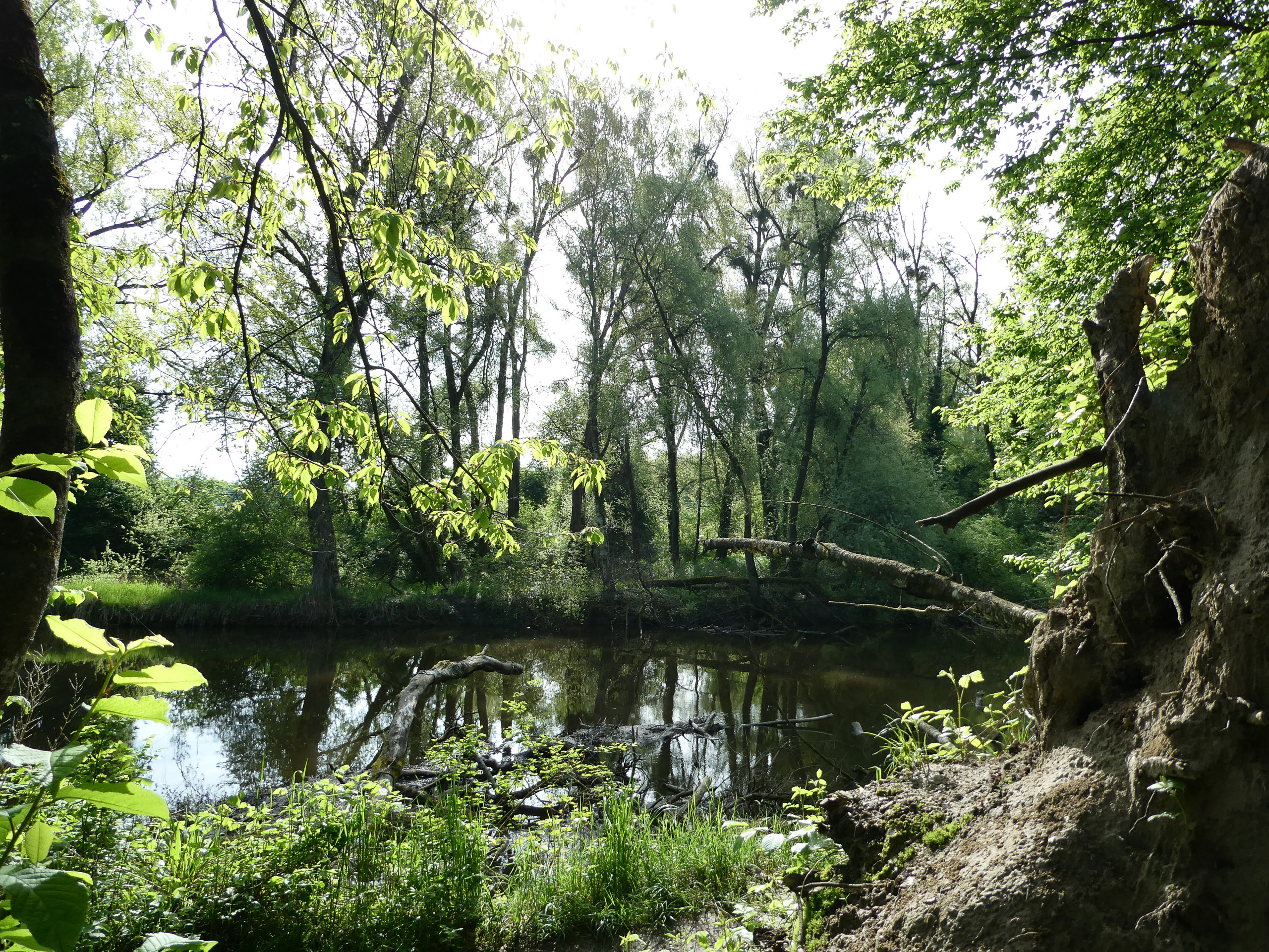 20230507094310 P1000227